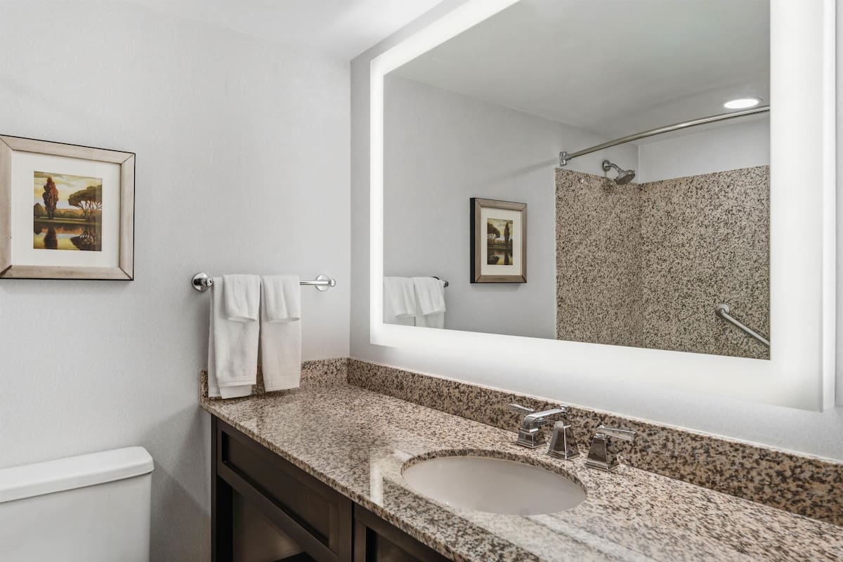 Chambre Deluxe, 1 très grand lit, non-fumeur | Salle de bain