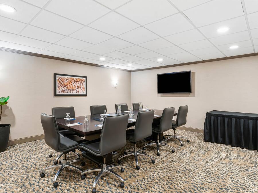 Un salón de conferencias con una mesa larga, sillas, una planta, un cuadro, un televisor y piso alfombrado.