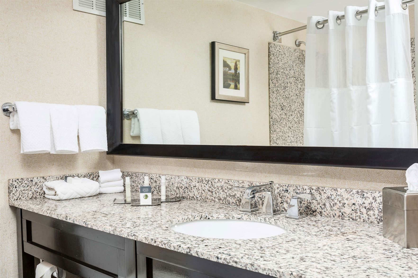 Bathroom | Combined shower/bathtub, free toiletries, hair dryer, towels