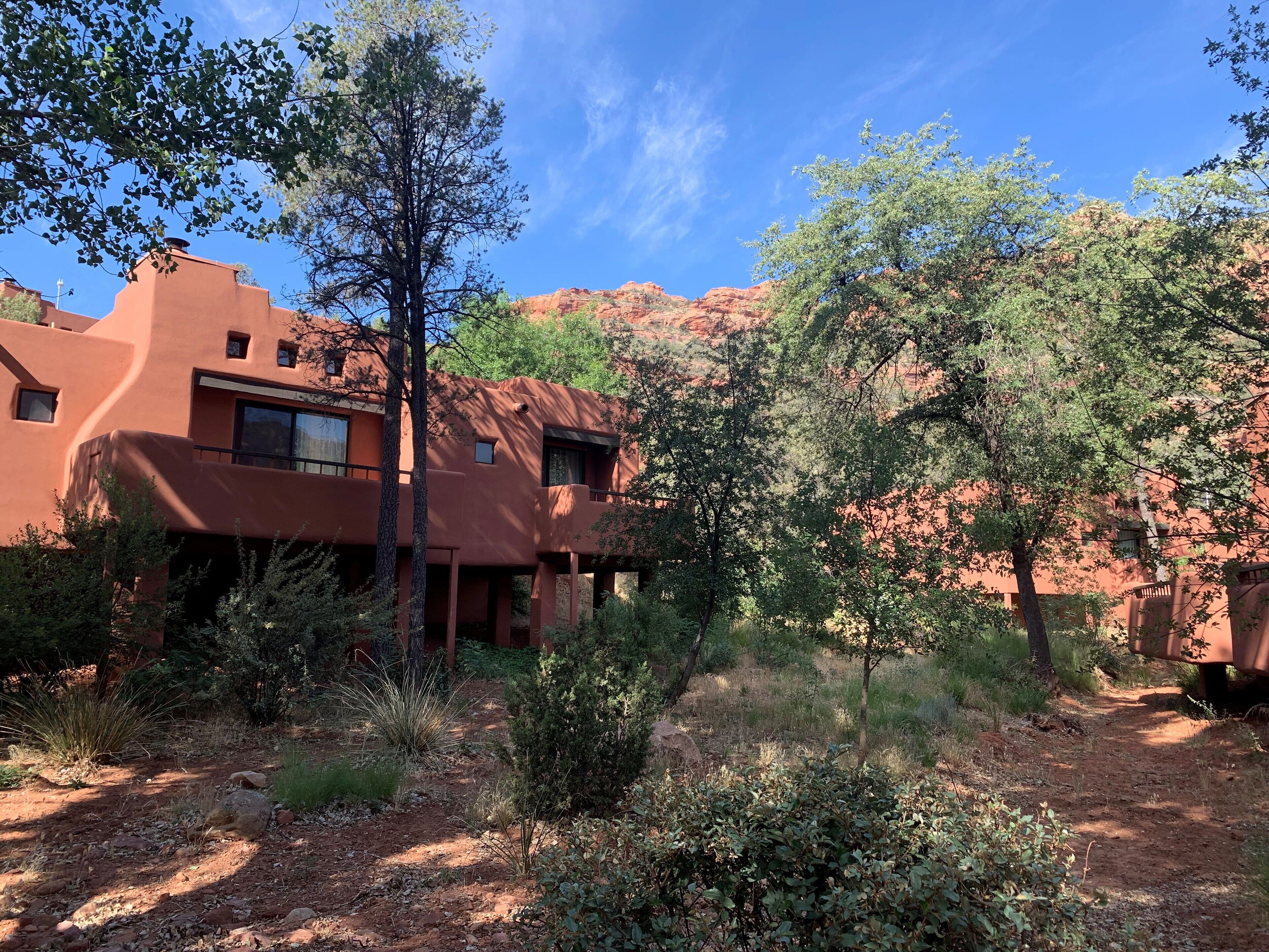 premium bedding, down duvets, pillow-top beds, minibar