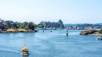 Suíte, 2 quartos | Vista do quarto