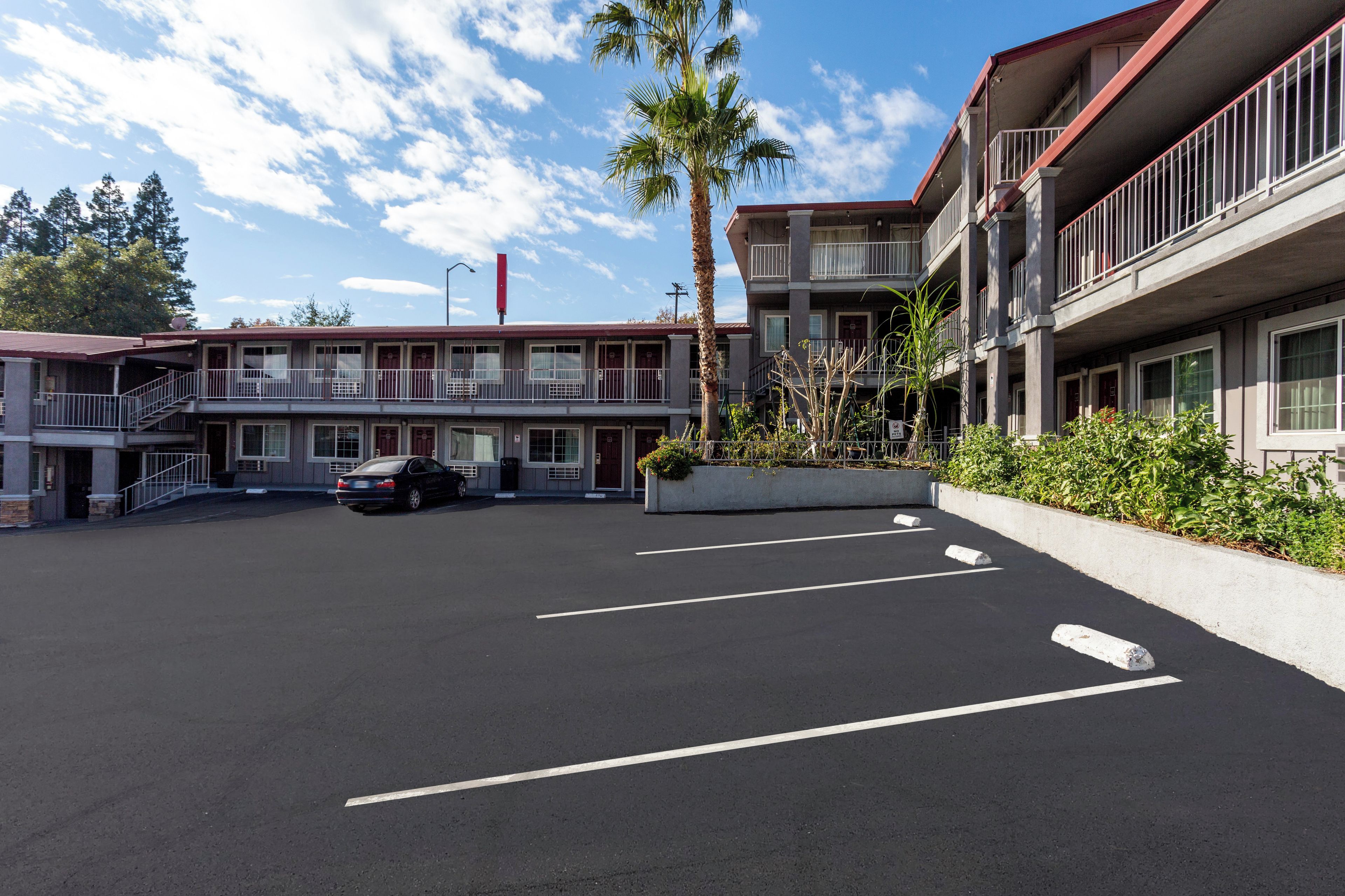 A multi-story motel with a parking lot, a palm tree, and a clear sky.