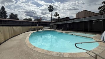A swimming pool with a curved edge, surrounded by a concrete deck. There are lounge chairs and a palm tree in the background.