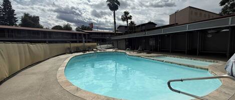 A swimming pool with a curved edge, surrounded by a concrete deck. There are lounge chairs and a palm tree in the background.