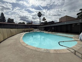 Una piscina de borde curvo, rodeada por un patio de concreto. Se observan sillas de descanso y una palmera al fondo.