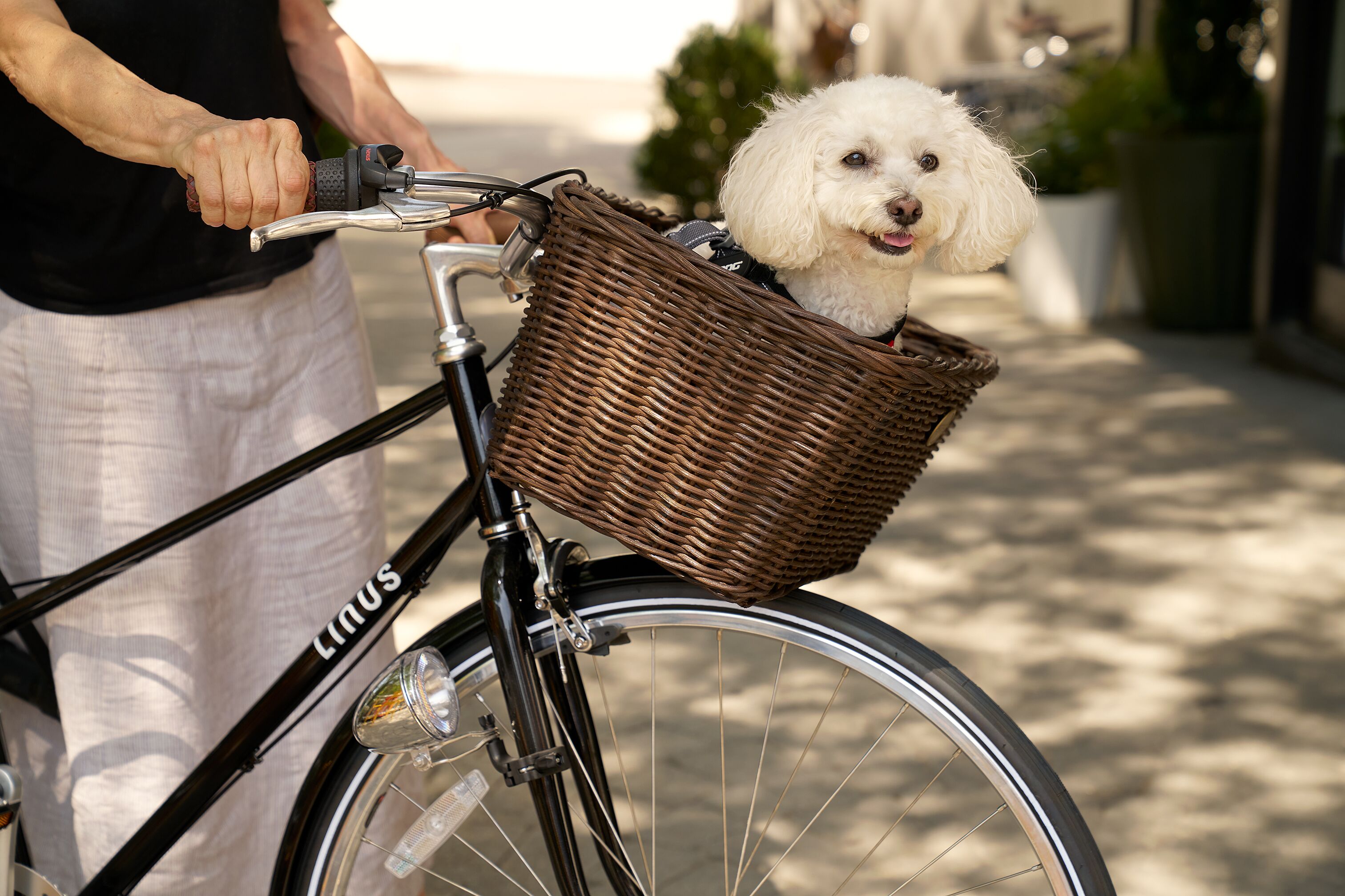 Foto - Generator Hotel Washington DC