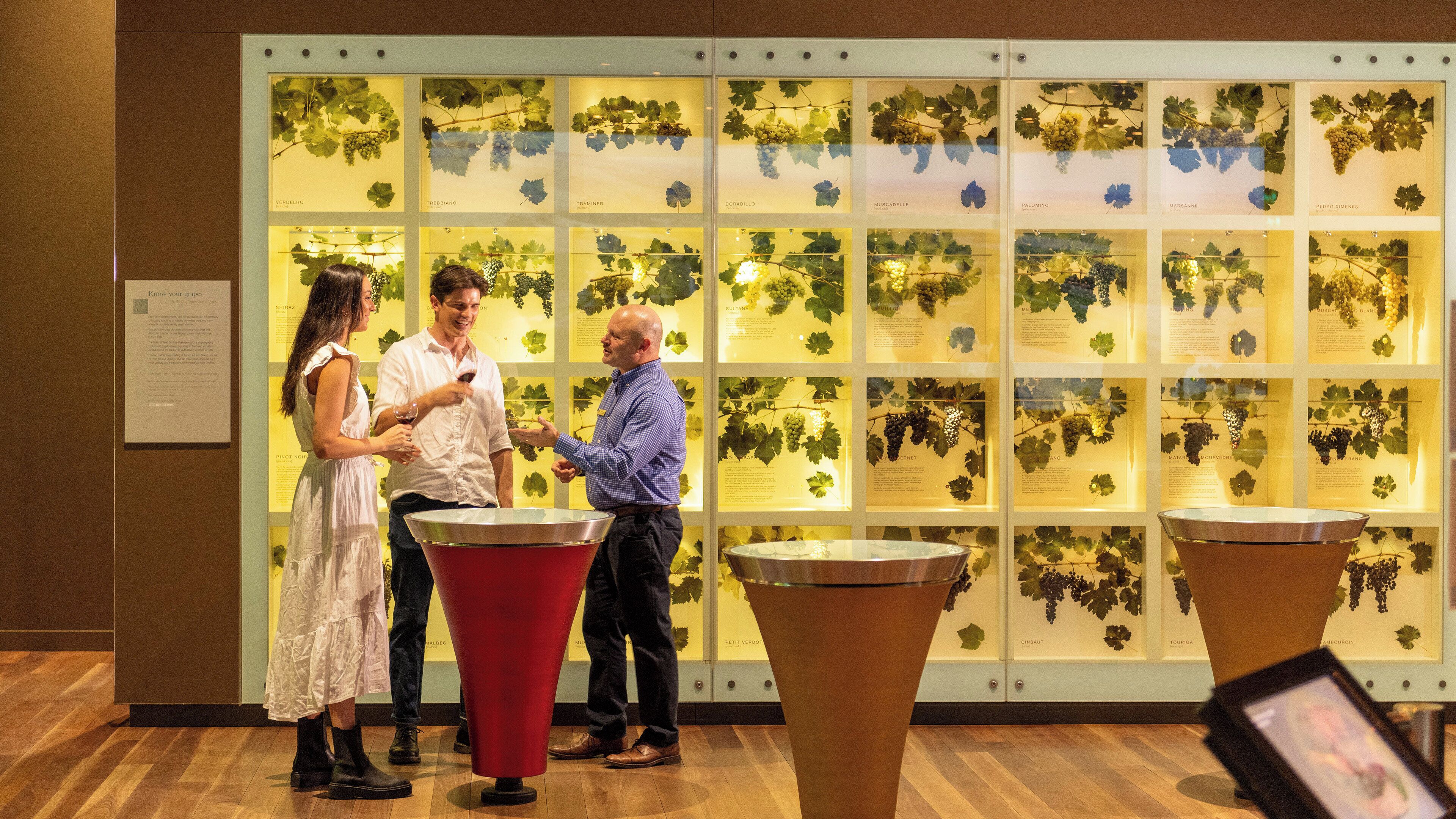 A wine tasting event with a display of grape varieties and informational panels.