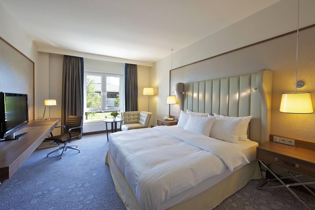 A hotel room with a large bed, a desk with a TV, a chair, a small table with a plant, and a window with curtains.