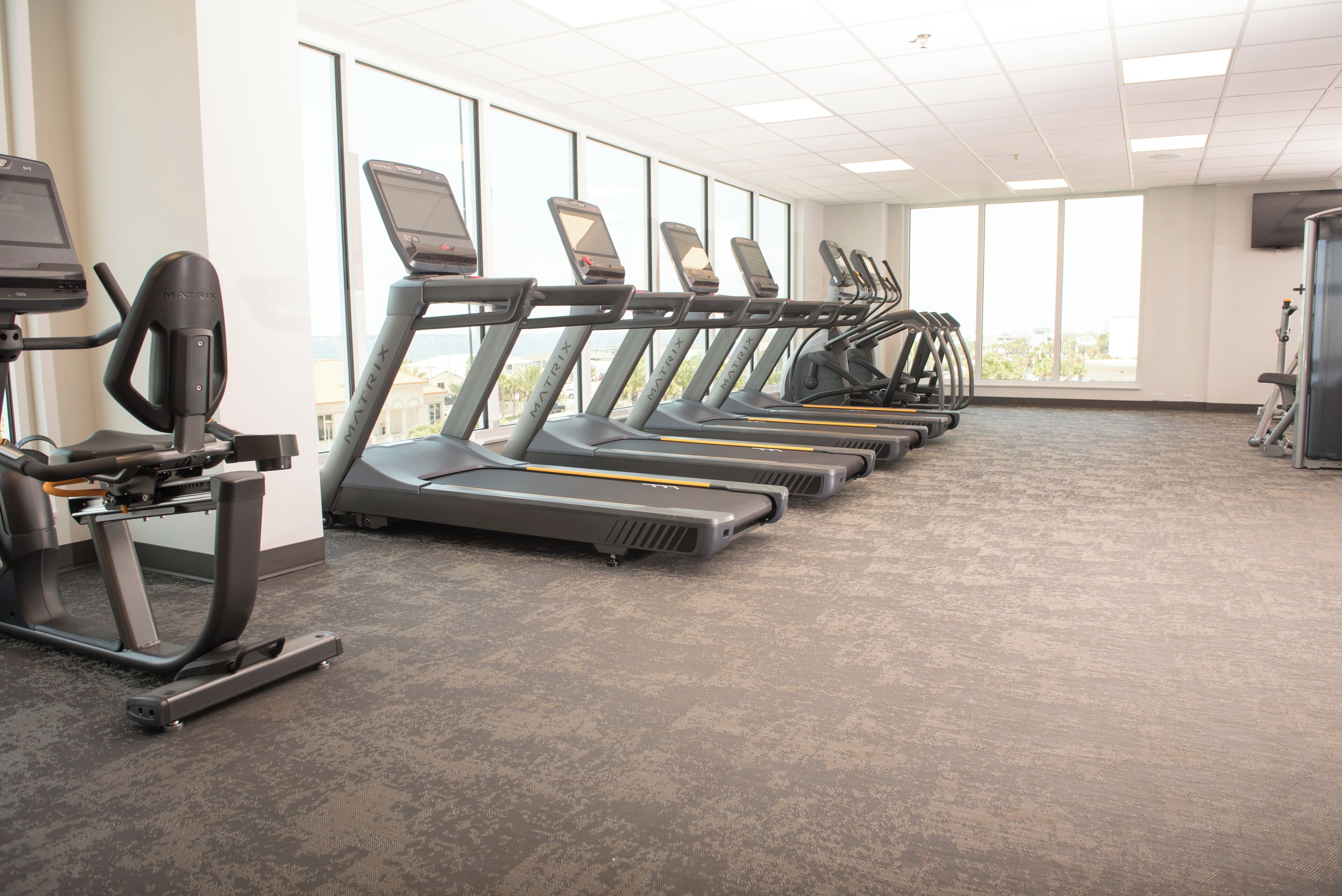 A gym with treadmills aligned in a row, large windows, and a carpeted floor.