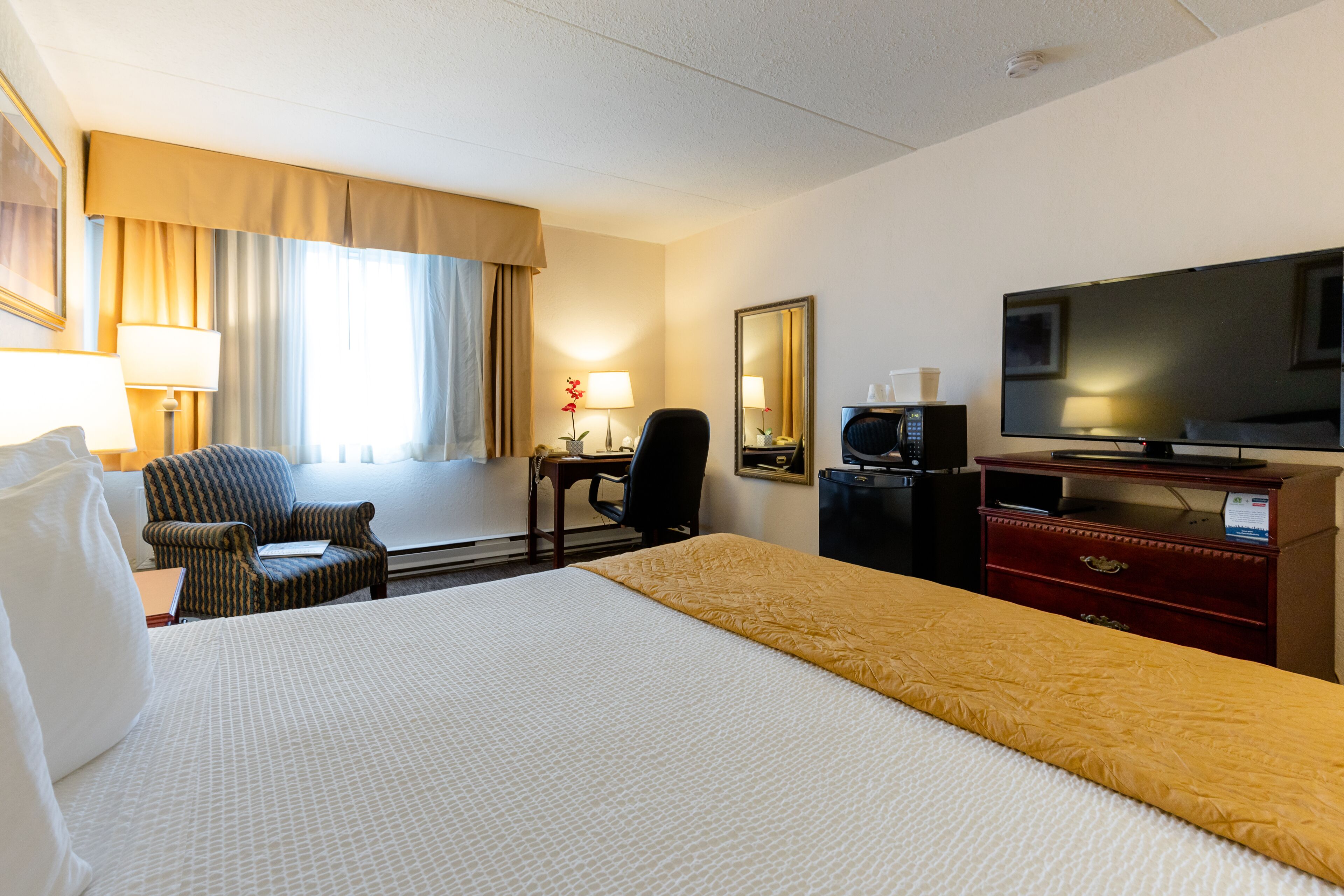 Una habitación de hotel con una cama grande, un escritorio con silla, un televisor y un aparador.