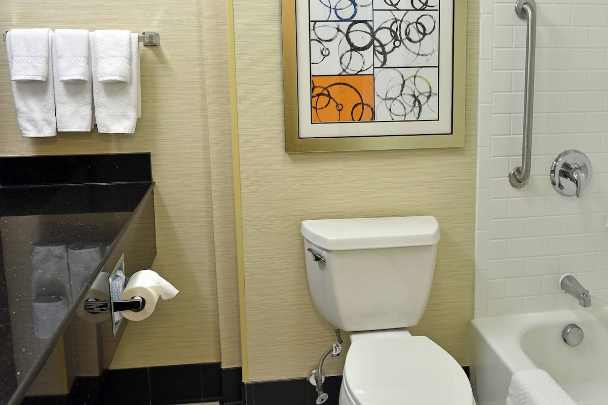 combined shower/bathtub, free toiletries, hair dryer, towels