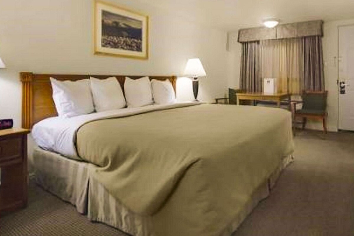 Habitación de hotel con una cama grande, un escritorio, una silla y una lámpara.