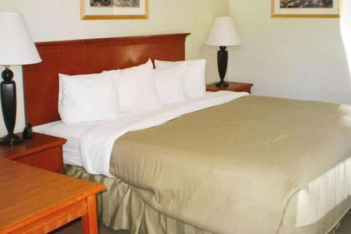 Desk, iron/ironing board, free WiFi, bed sheets