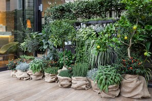 Phục vụ bữa sáng, bữa trưa, bữa tối, đặc sản địa phương 