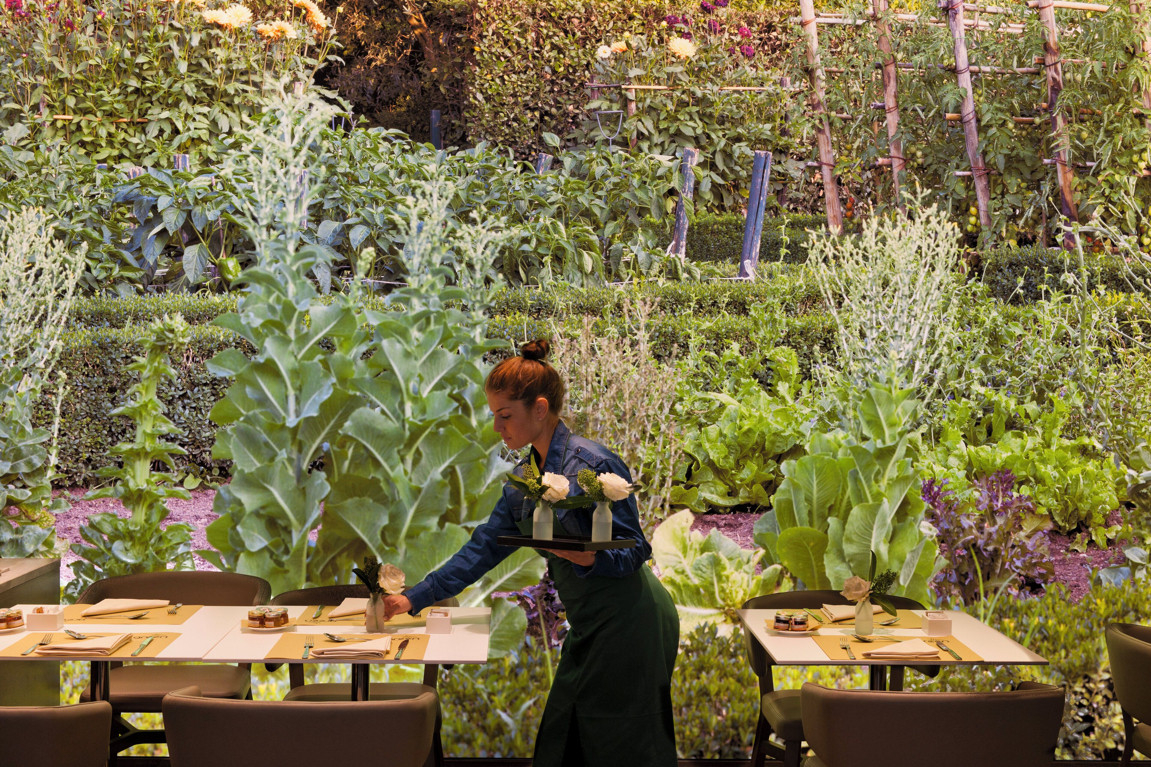 A restaurant with tables set for dining, surrounded by lush greenery and plants.
