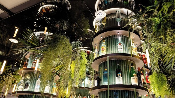 Un bar escalonado con diferentes botellas de licor y plantas.