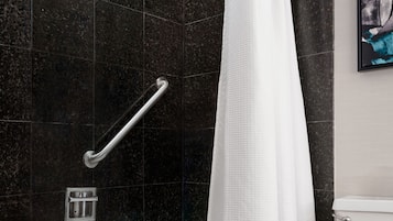 Une salle de bain moderne équipée d’une baignoire, d’une douche et de toilettes.