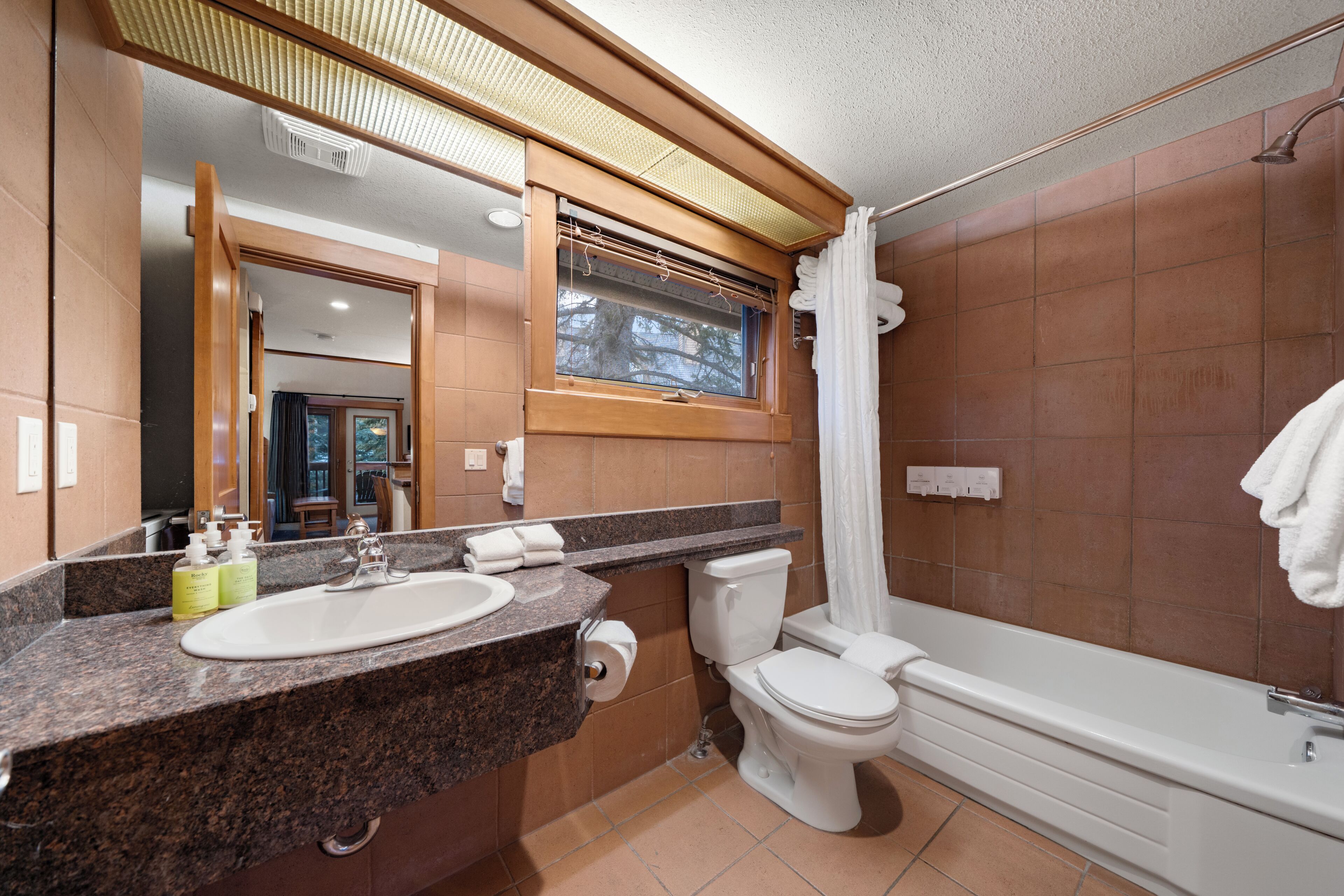 Une salle de bain avec un lavabo, des toilettes et une baignoire.