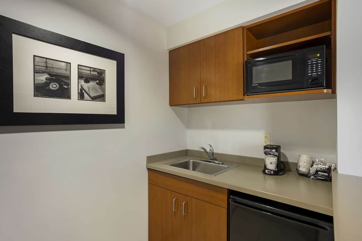 suite, 1 king bed, non smoking, refrigerator & microwave (with sofabed) | 1 bedroom, pillow-top beds, laptop workspace, blackout curtains