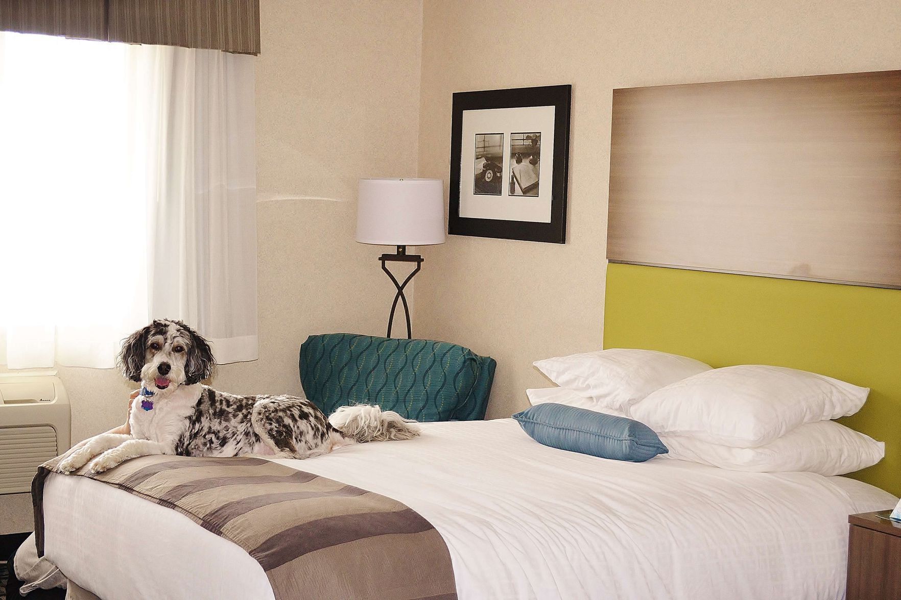 Pillowtop beds, laptop workspace, blackout drapes, iron/ironing board