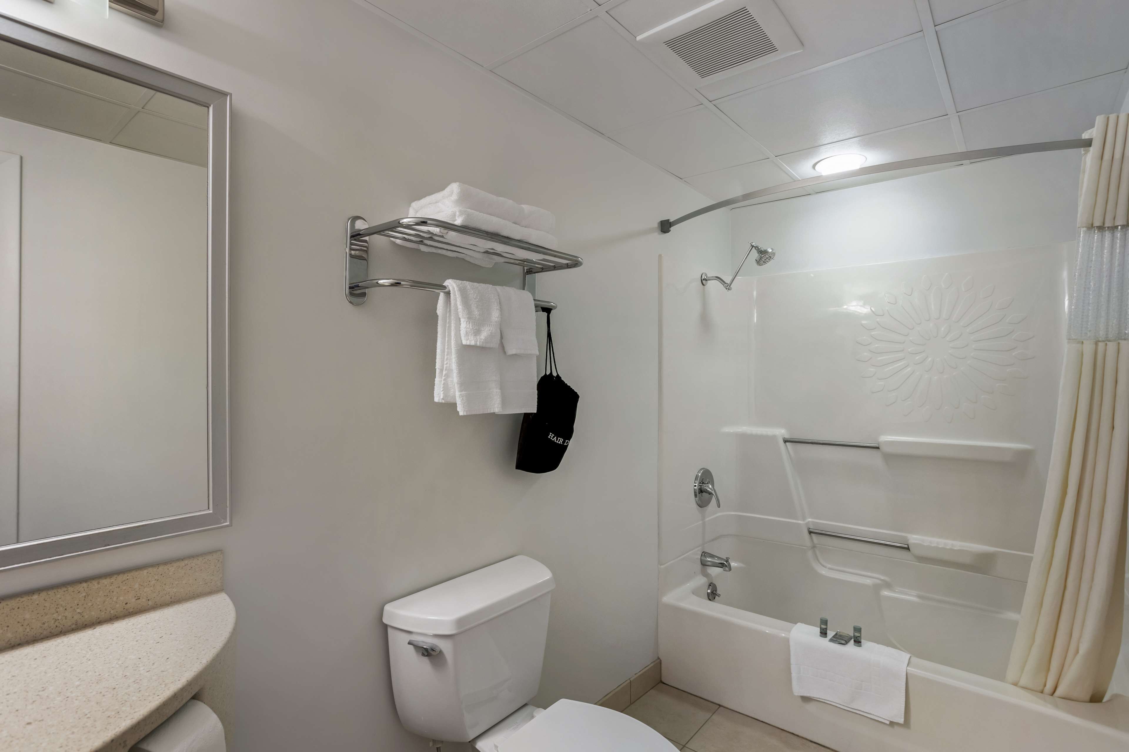 A modern bathroom with a toilet, a shower, and a sink.
