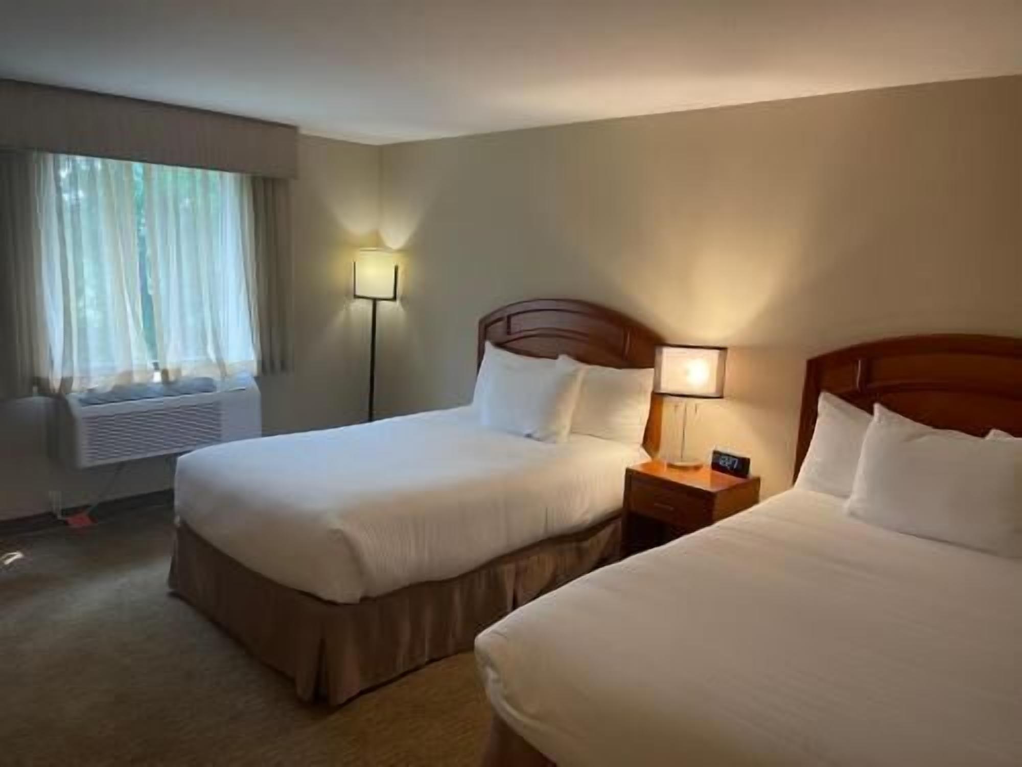 Pillow-top beds, laptop workspace, blackout curtains, iron/ironing board
