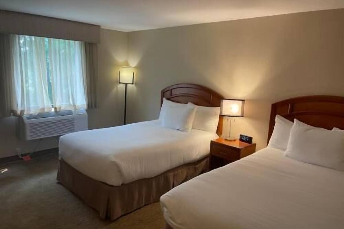 Pillow-top beds, laptop workspace, blackout curtains, iron/ironing board