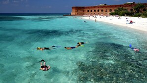 A beach with clear turquoise water, snorkelers, and a large building in the background. - La Concha Key West, Autograph Collection (Key West)