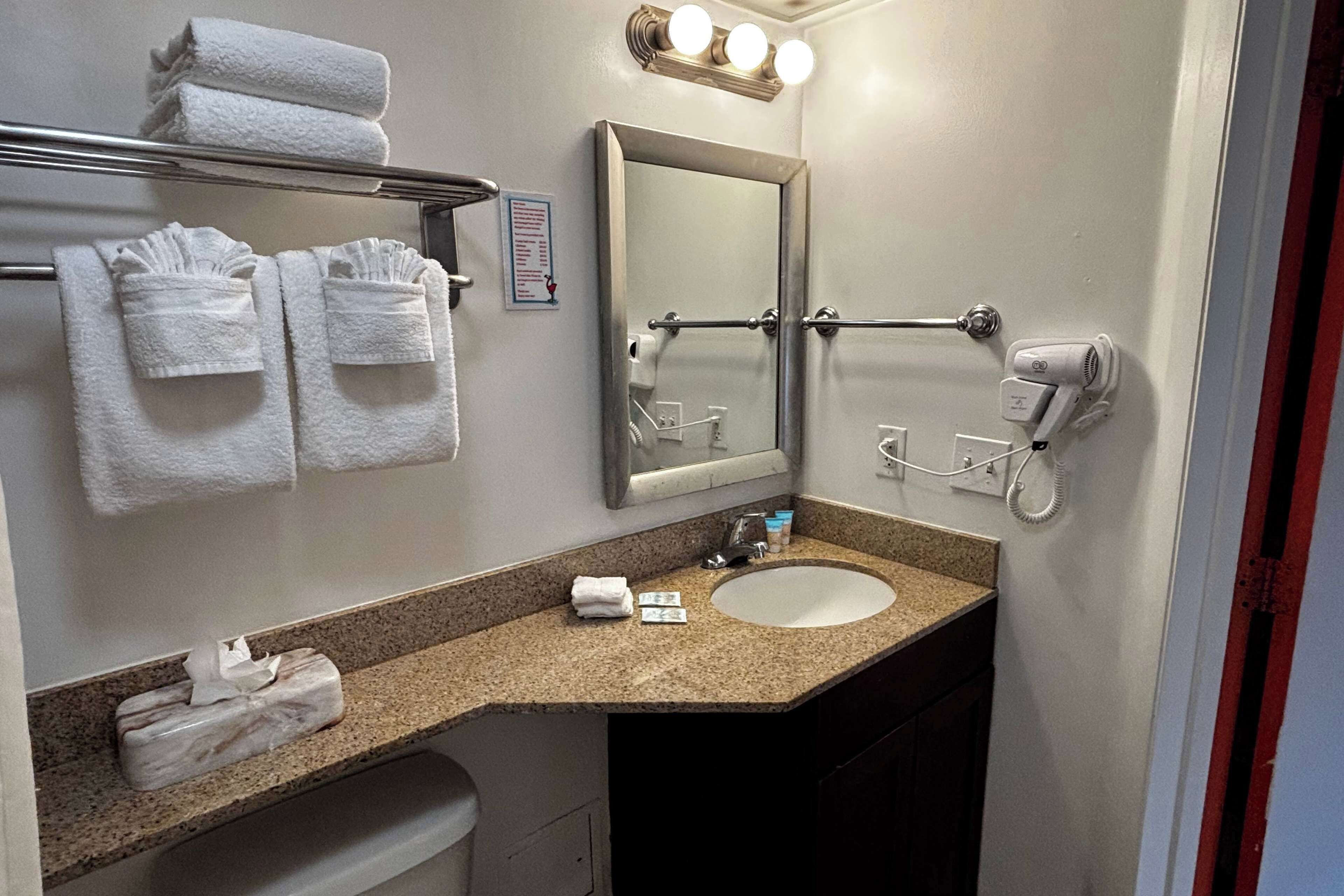 A bathroom with a sink, mirror, towel rack, and hairdryer.