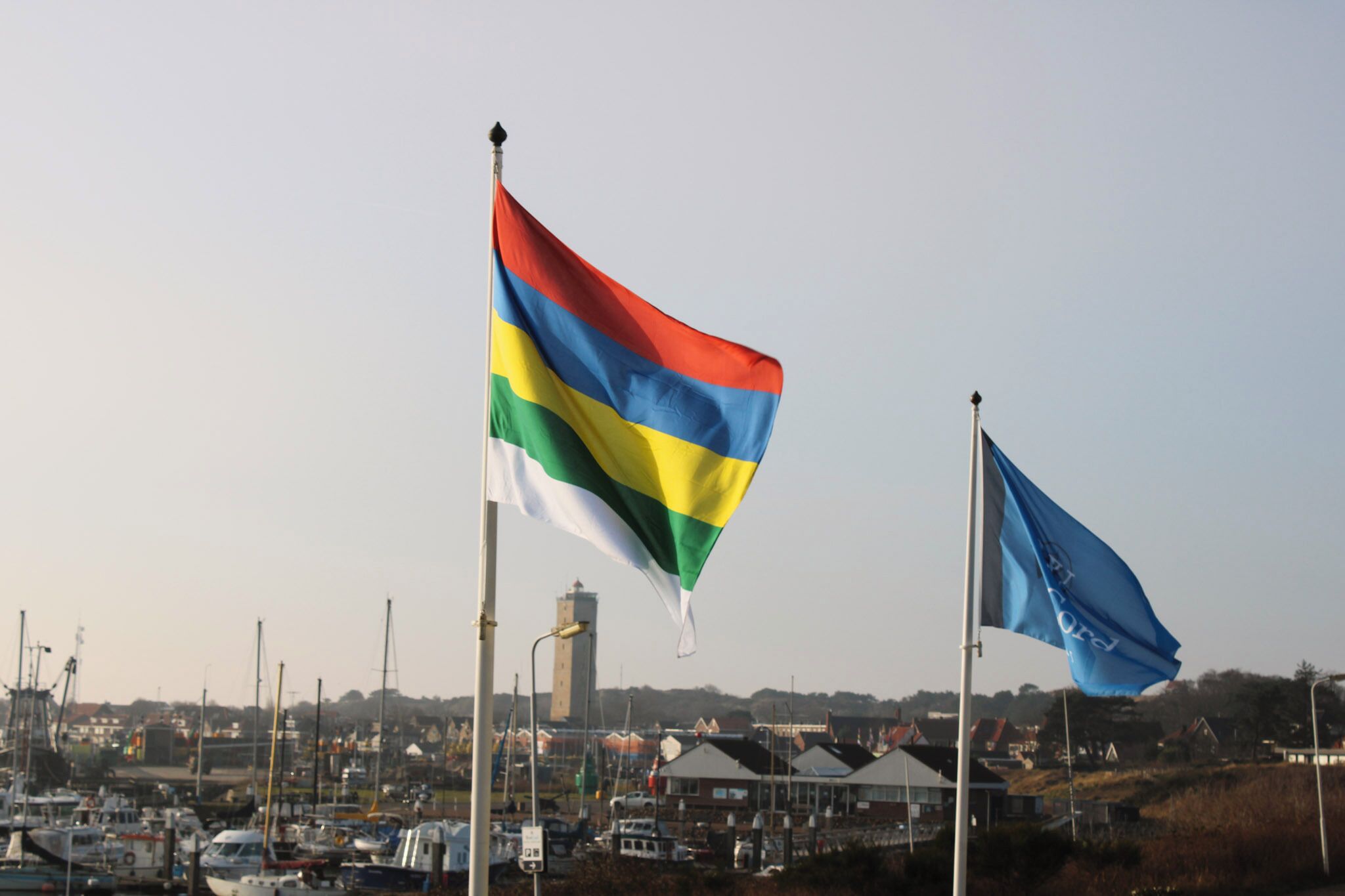 Un puerto deportivo con varias embarcaciones y un asta con una bandera.
