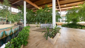 An indoor atrium with a central water feature, wooden flooring, and various indoor plants.