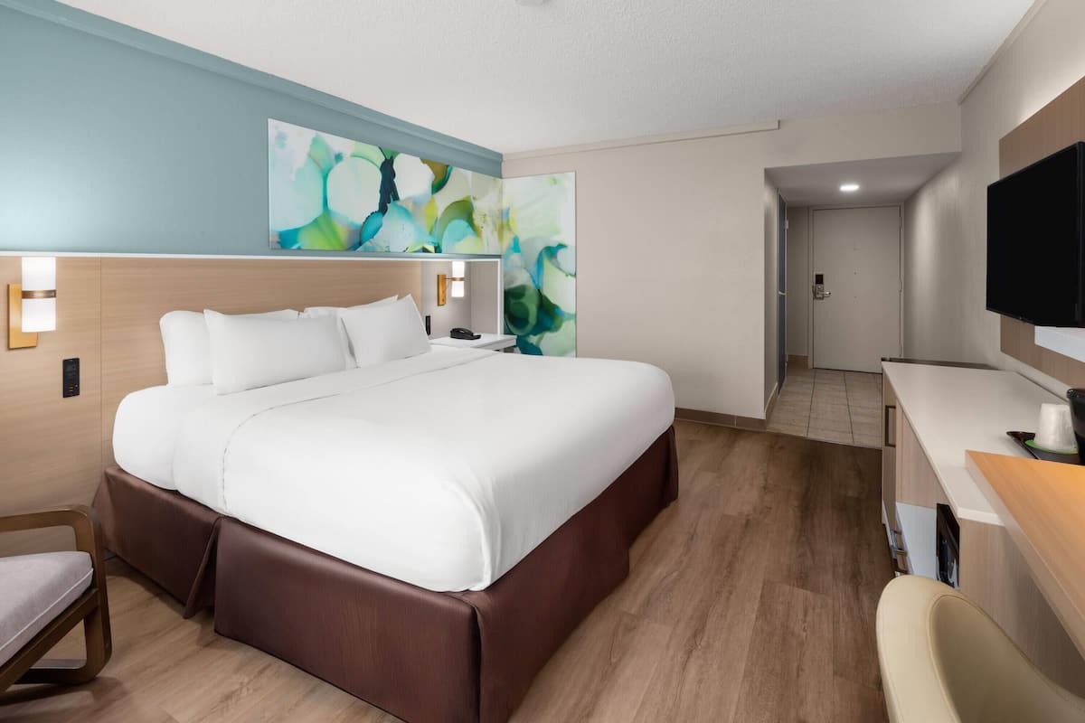 Room, 1 King Bed, Mobility Accessible, Non Smoking (Roll-In Shower) | Hypo-allergenic bedding, desk, laptop workspace, blackout drapes