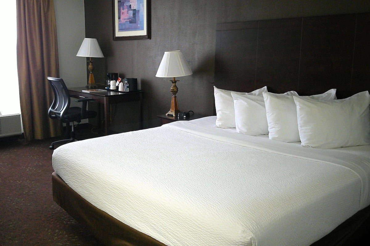 1 habitación, ropa de cama hipoalergénica y escritorio