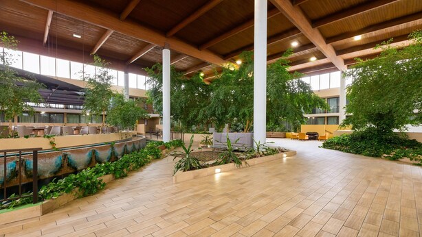 An indoor atrium with a high ceiling, wooden beams, and a central garden area.