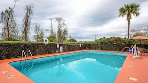 Piscina rectangular con escalera de seguridad, rodeada por un seto bajo y palmeras.