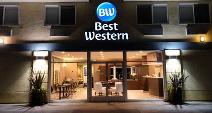 Best Western Inn