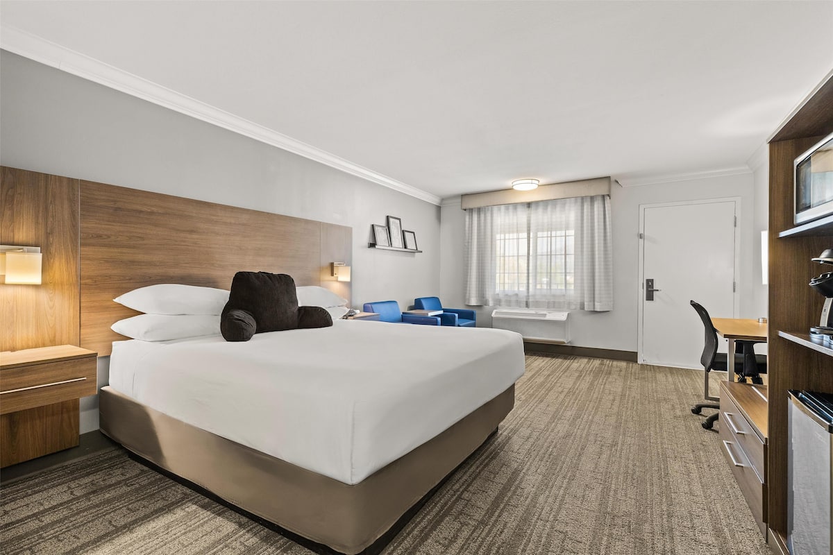 Room, 1 King Bed, Non Smoking | Desk, laptop workspace, blackout drapes, iron/ironing board