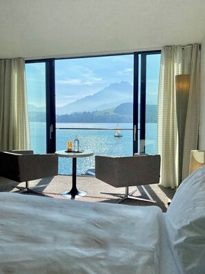 Vista desde la habitación