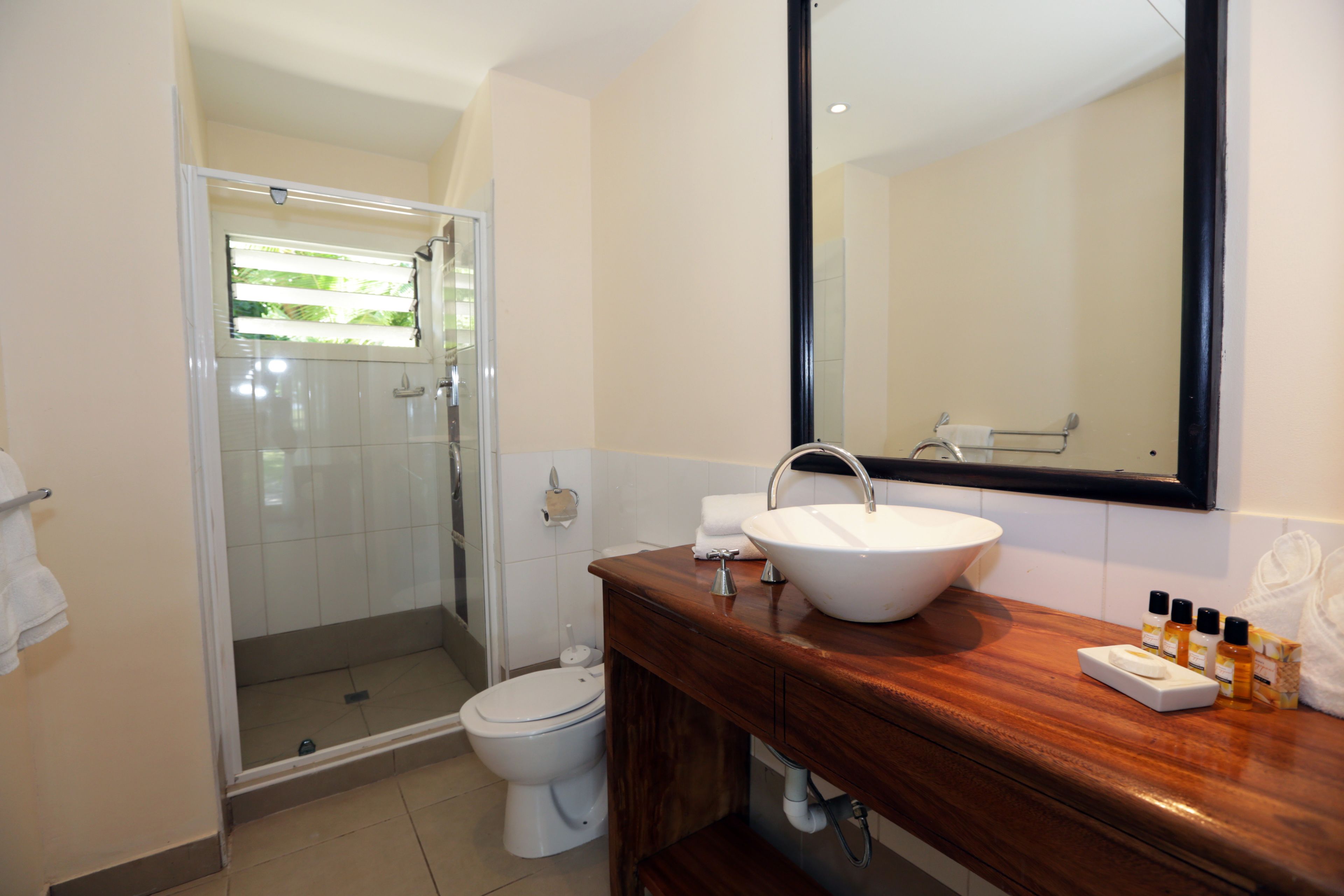 shower, free toiletries, hair dryer, towels