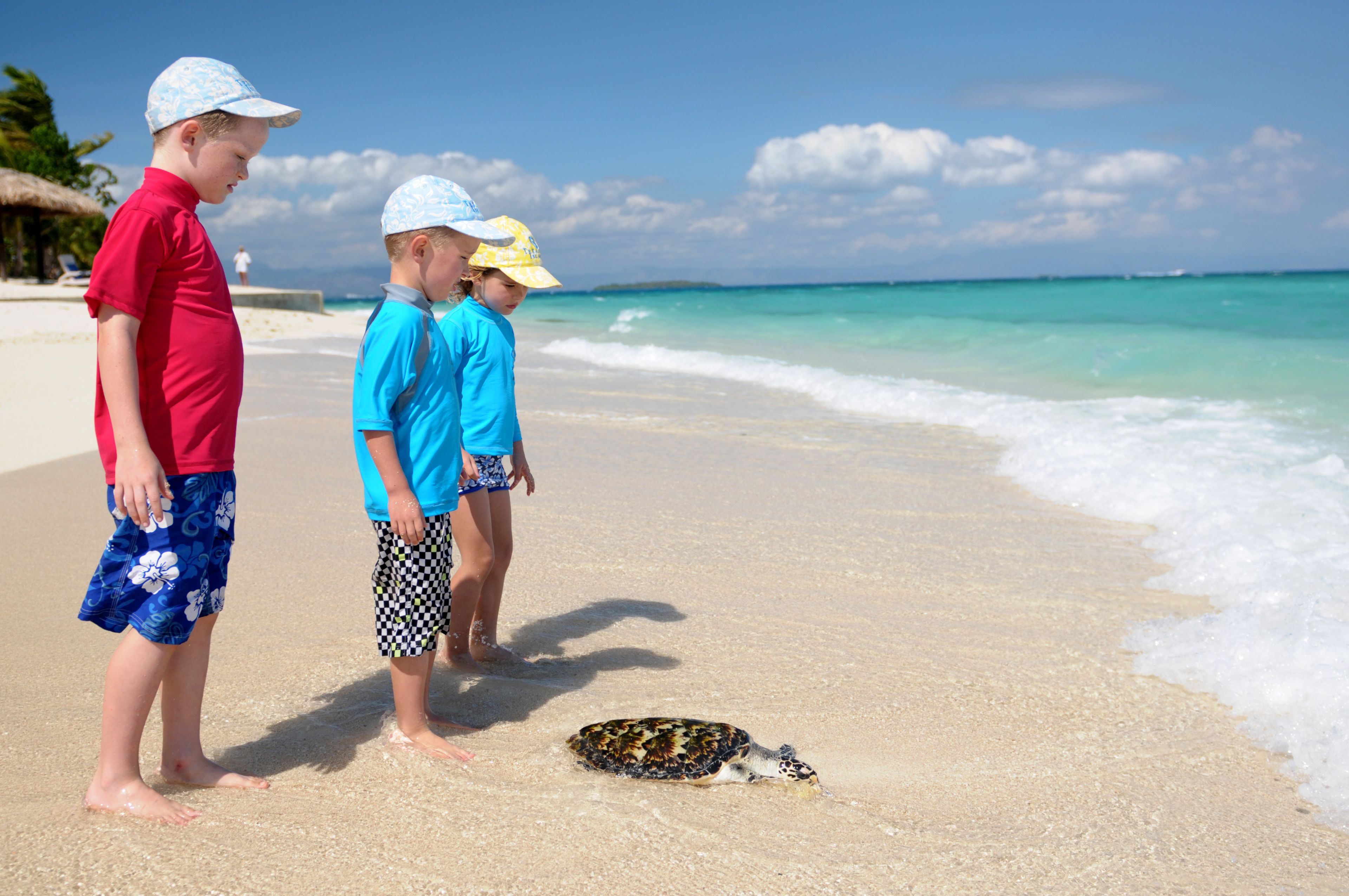 A beach scene with a turtle on the sand, people standing nearby, and a clear sky.