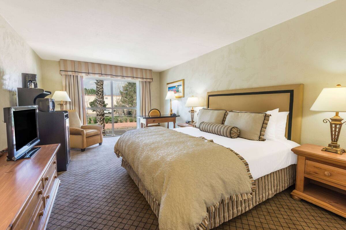 A hotel room with a large bed, a television, a desk, and a chair.