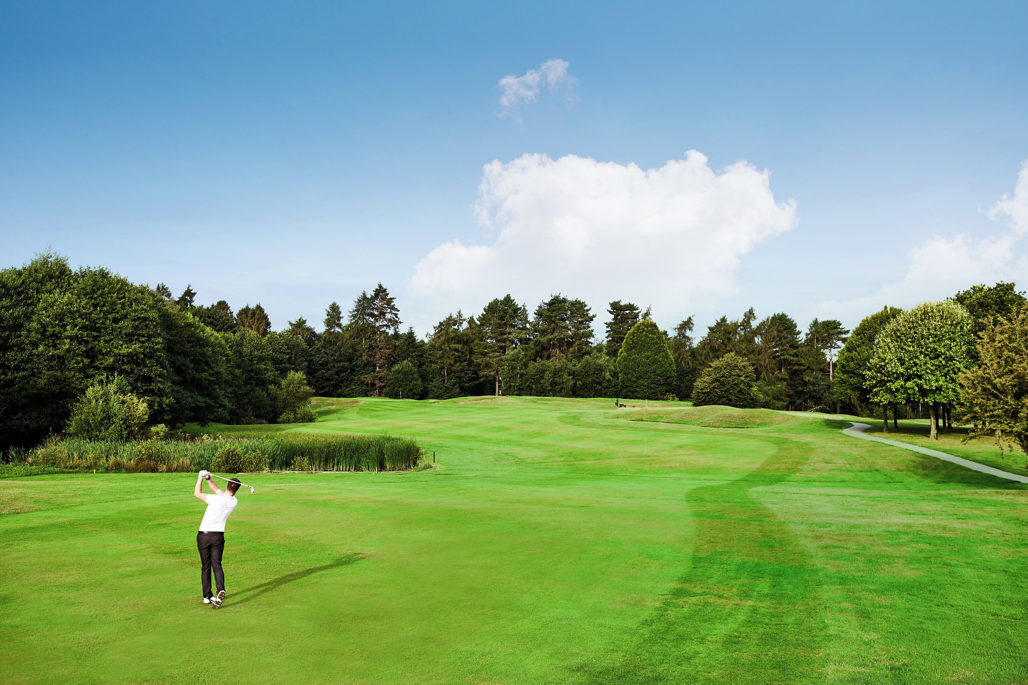 A golf course with a clear sky, lush greenery, and a golfer in mid-swing.