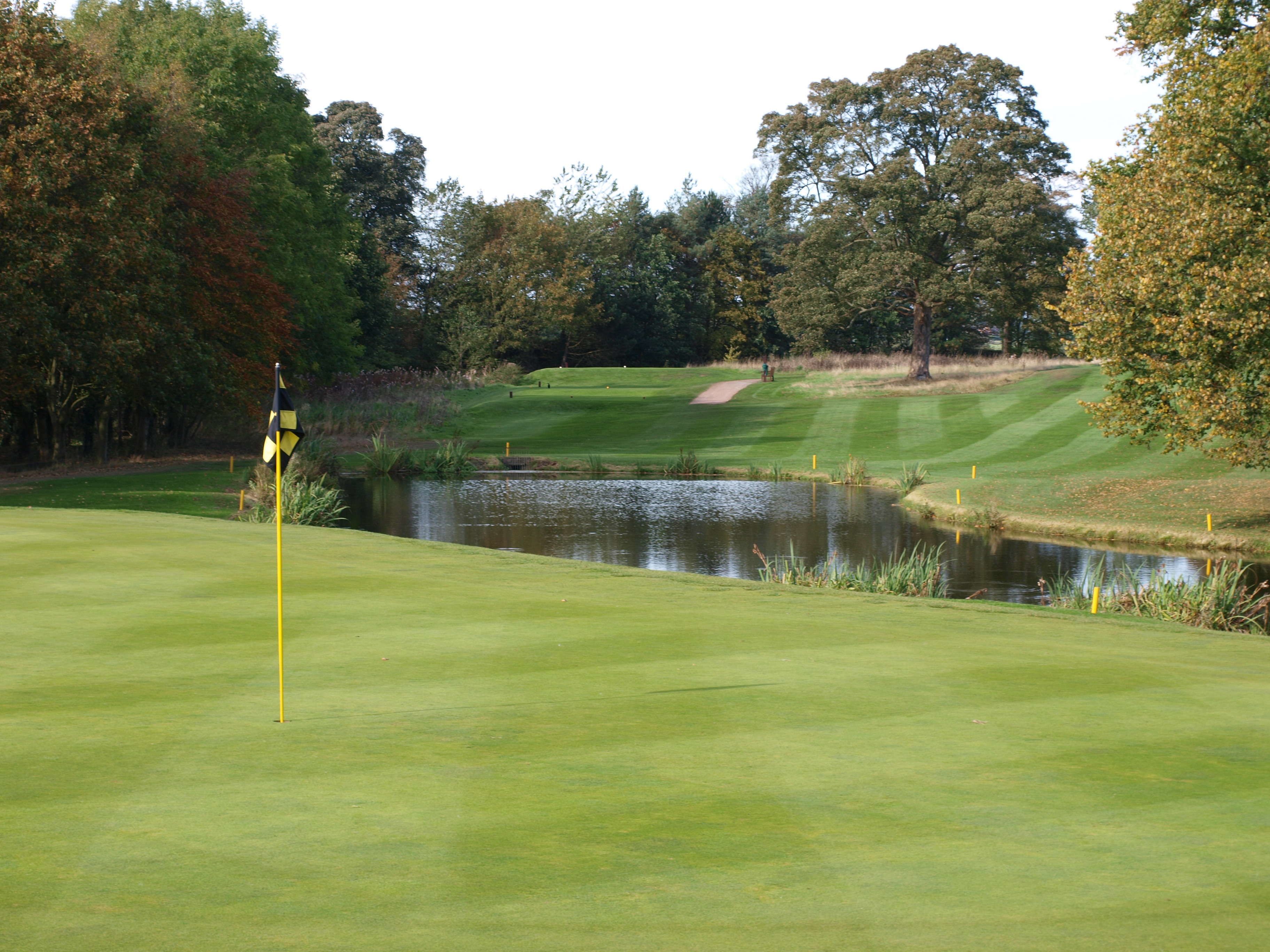 Een golfbaan met een vijver, bomen en een vlag.