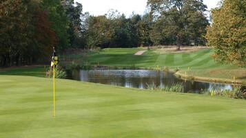 Een golfbaan met een vijver, bomen en een vlag.