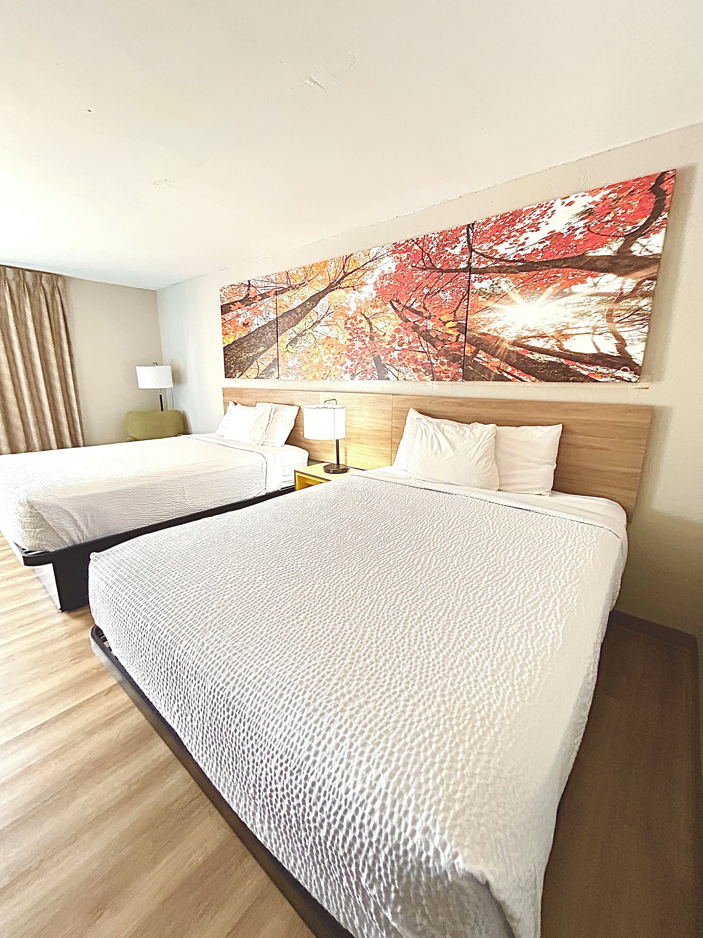 Habitación de hotel con dos camas, un cuadro grande de hojas otoñales, una lámpara y vistas al exterior.