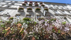 A building facade with multiple balconies adorned with flowering plants and a street lamp.