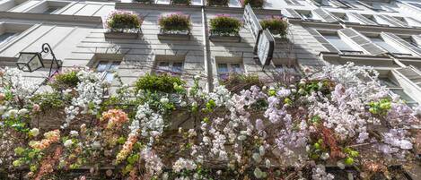 A building facade with multiple balconies adorned with flowering plants and a street lamp.