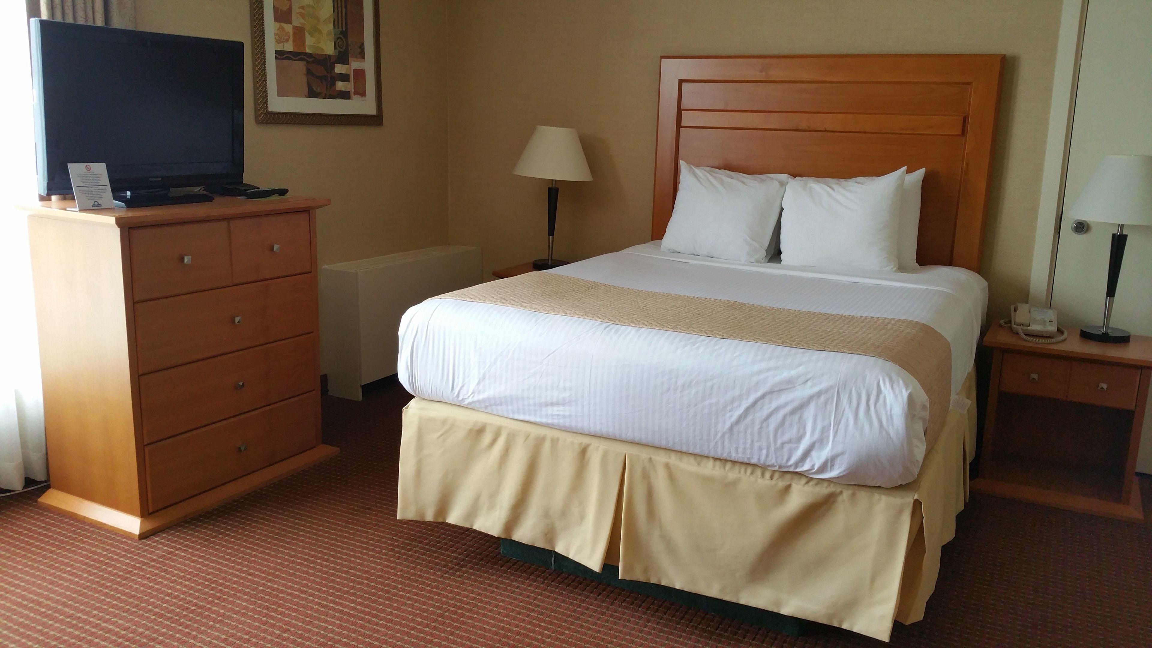 Habitación de hotel con cama, cómoda, televisor, lámpara y un cuadro en la pared.