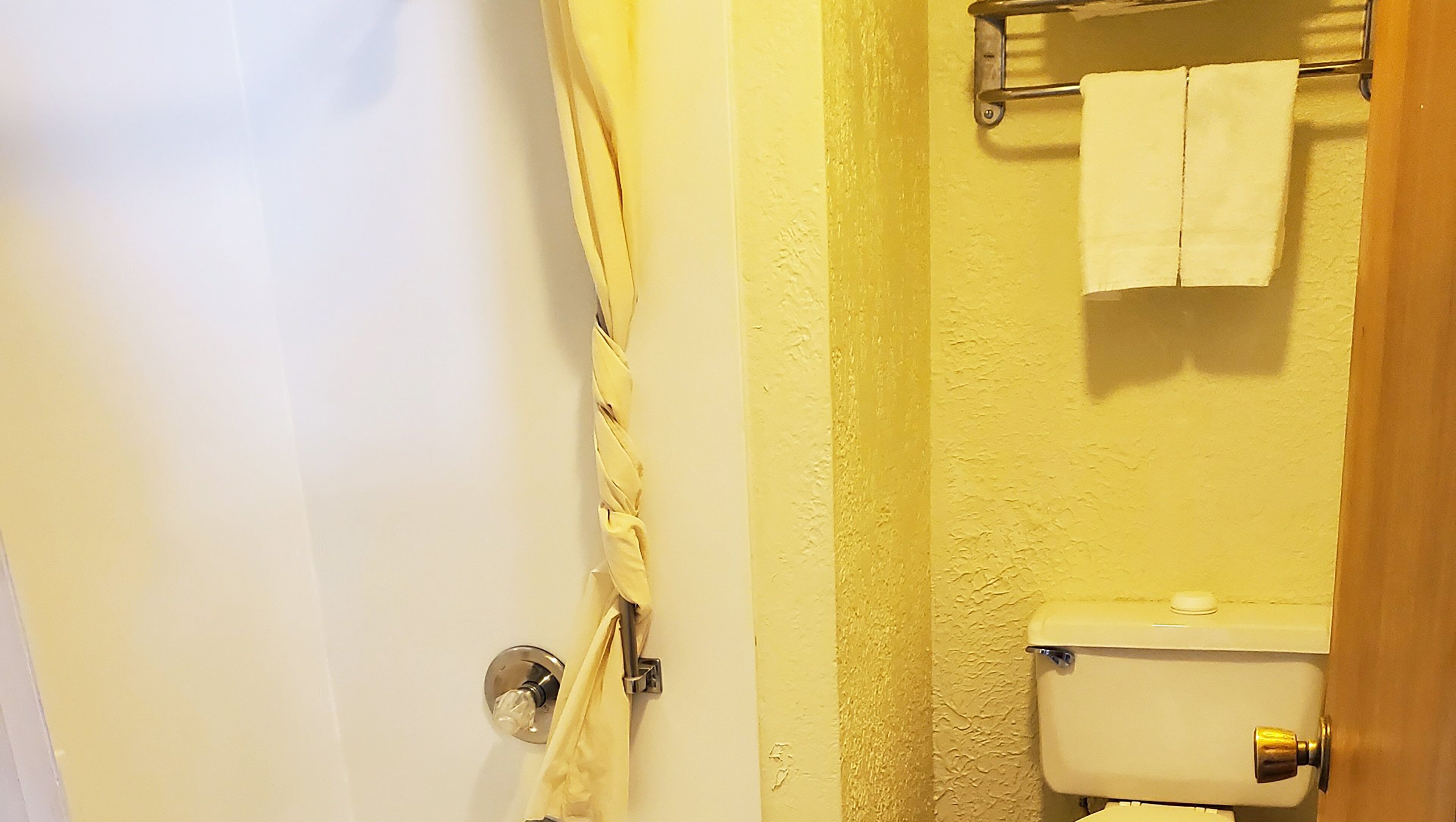 A bathroom with a toilet, a towel rack, and a shower curtain.
