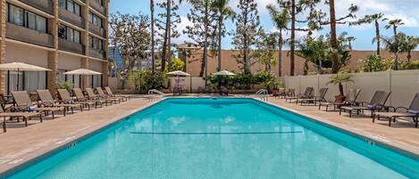 A swimming pool with lounge chairs and umbrellas, surrounded by tall trees and a multi-story building.